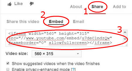 embed youtube video in wordpress share embed copy
