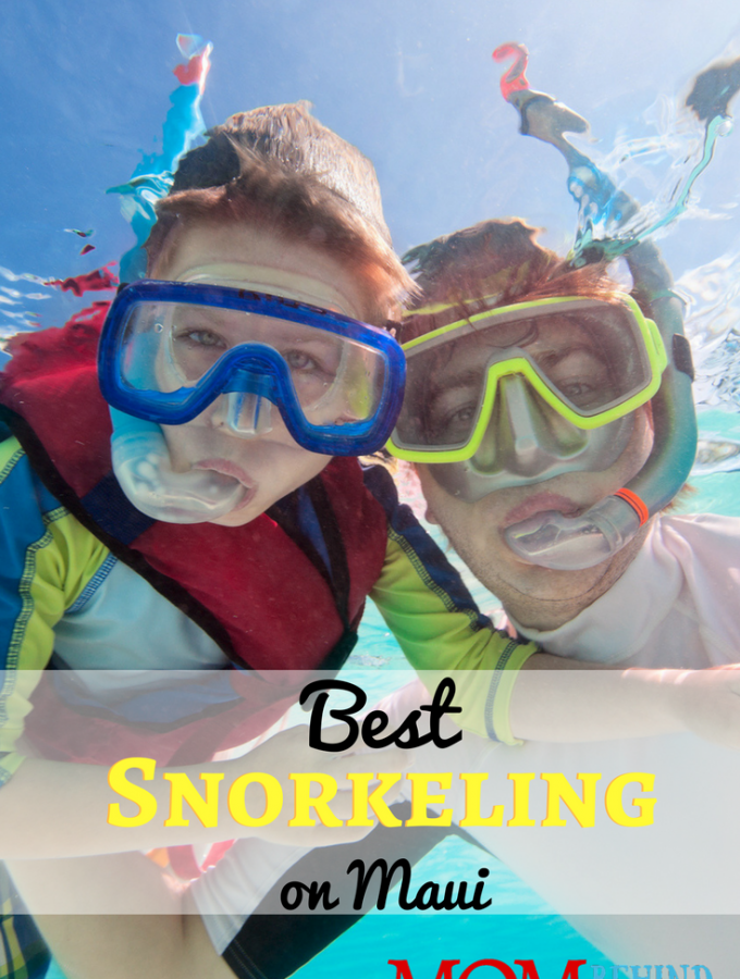 How to find the best snorkeling in Maui on your family vacation.