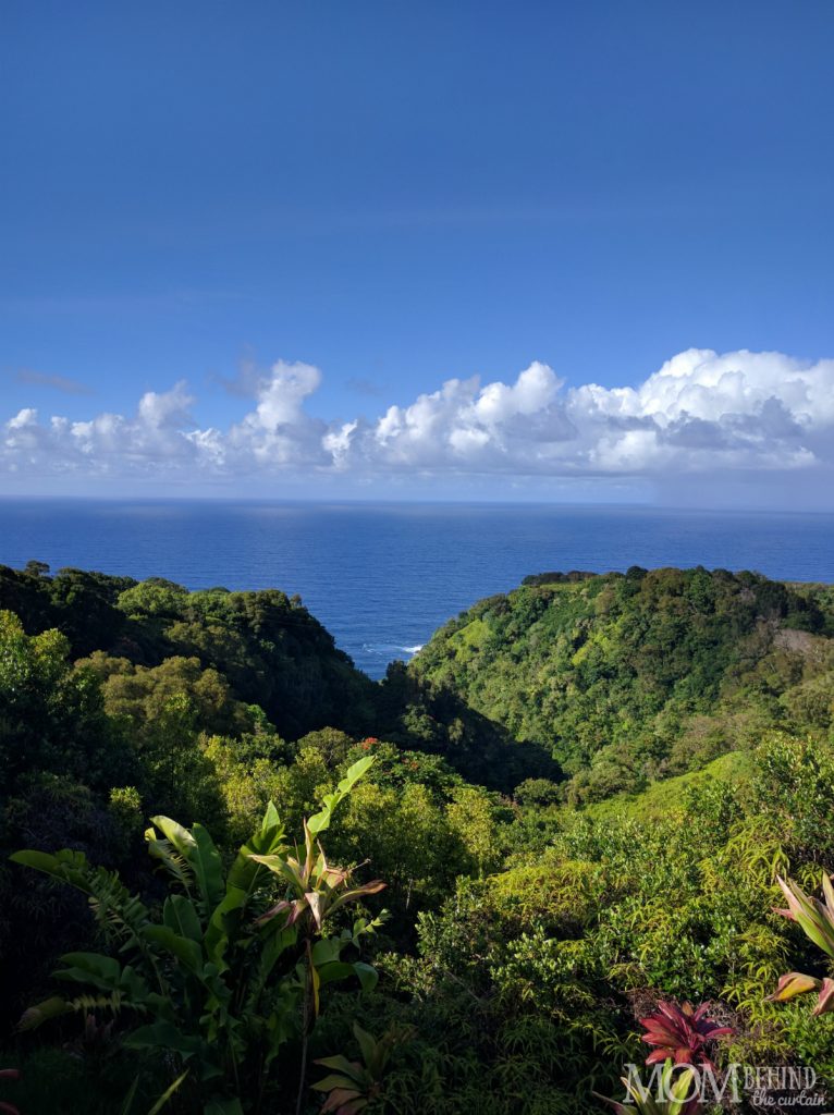 Garden of Eden Maui