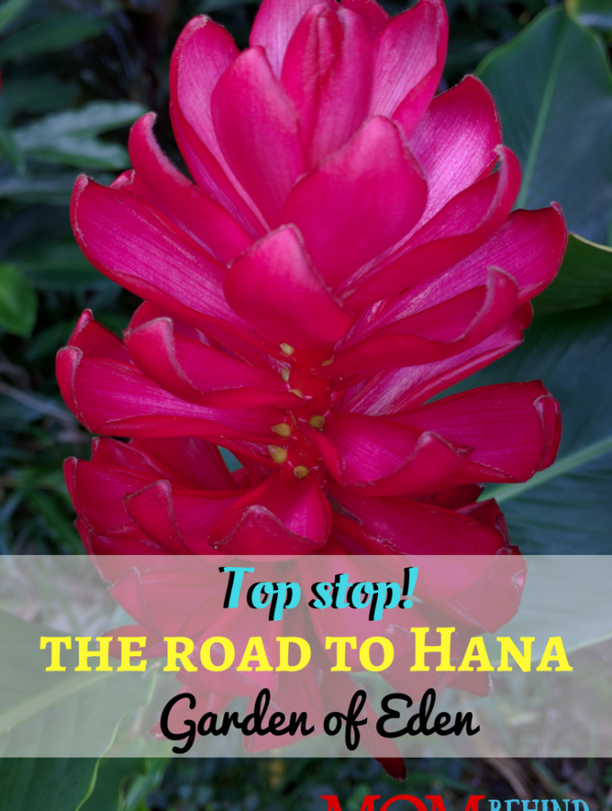 The Garden of Eden on Maui with breathtaking ocean views and beautiful flowers is a top stop on the Road to Hana! Check out this Maui road trip!