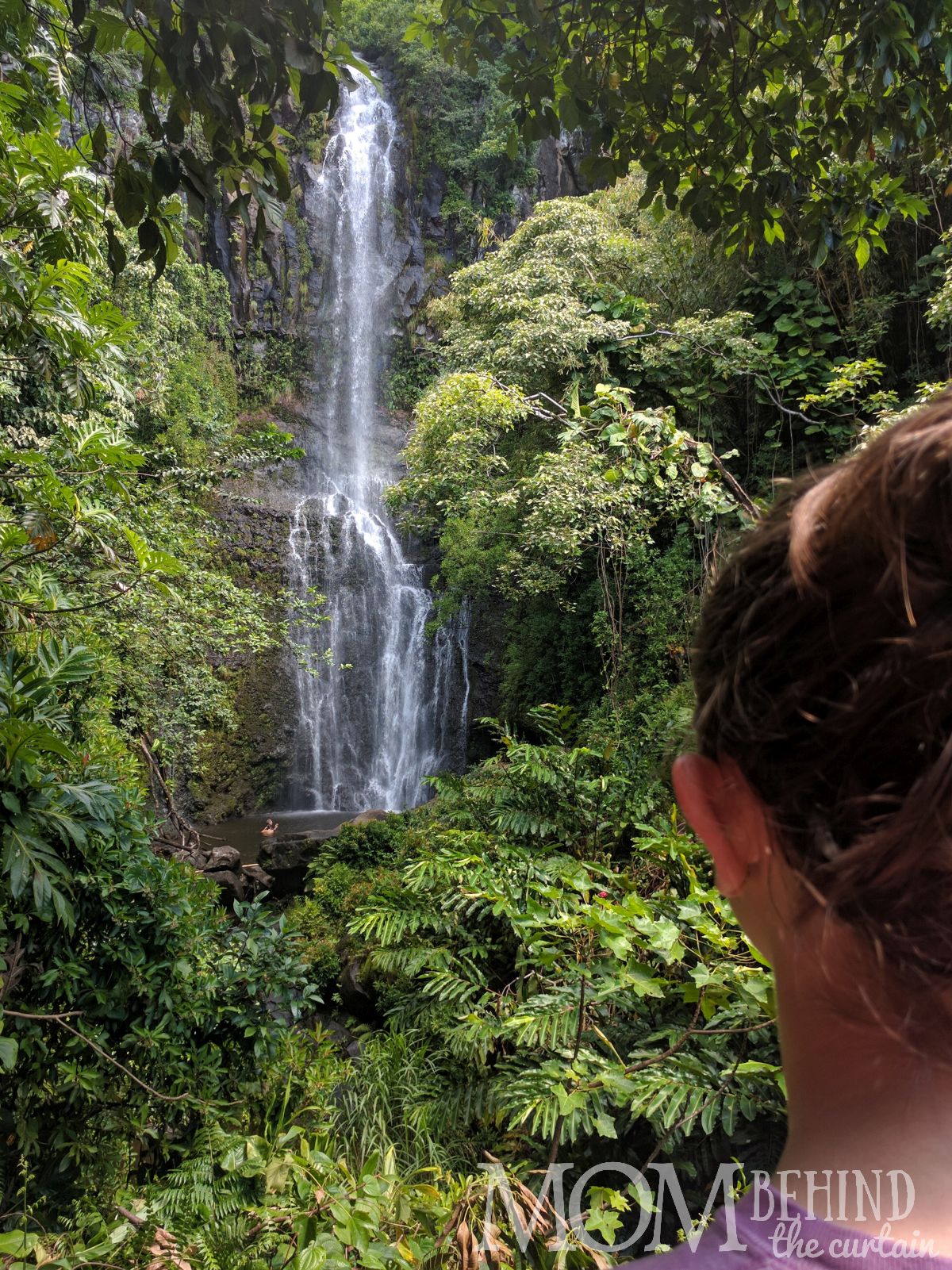 Road to Hana - waterfall
