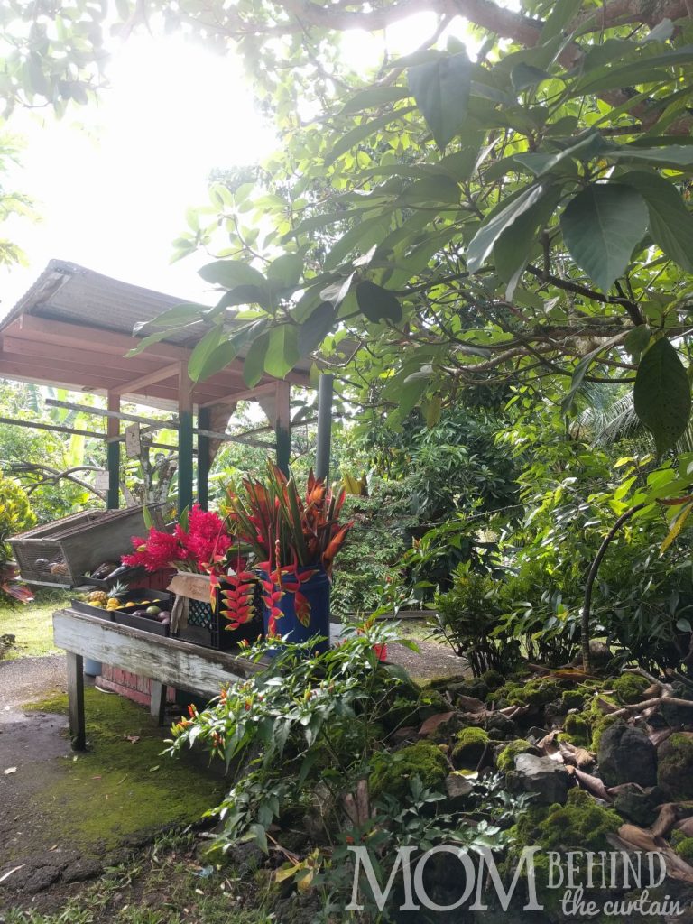 Road to Hana - fruit stand