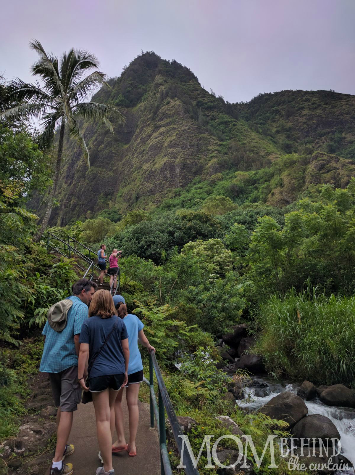 Walking the Iao Valley hiking loop with views of tropical peaks and tropical plants. If you're not up for a big hike or theperilous Hana Highway don't miss the Iao Valley!
