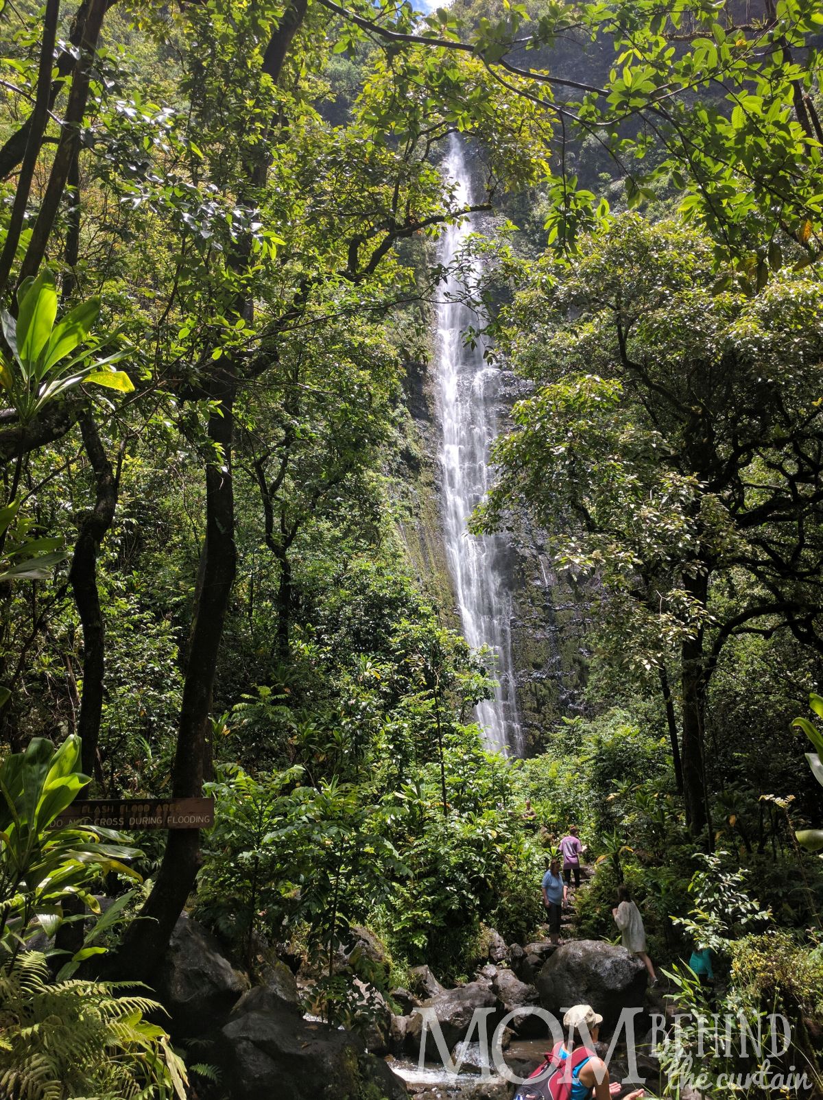 Waimoku Falls hike off the Road to Hana