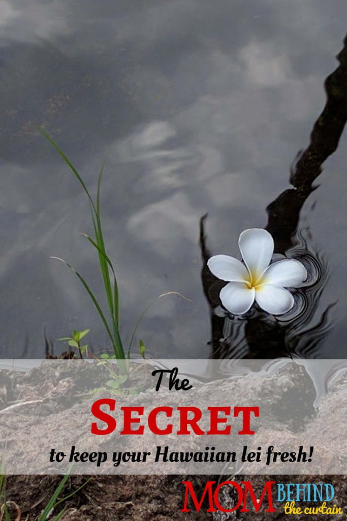 Maui vacation tips - the secret to keeping your Hawaiian flower lei fresh! Aloha!
