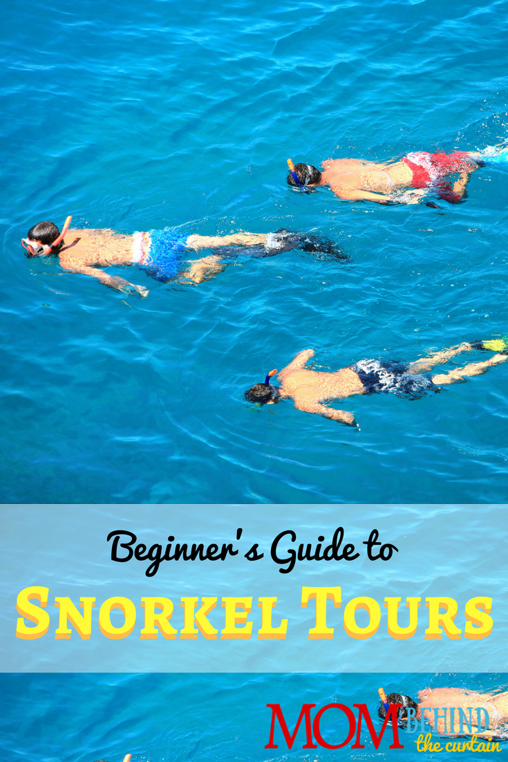 Snorkeling Tours Beginners Guide Hawaii vacation 10 • Mom Behind the