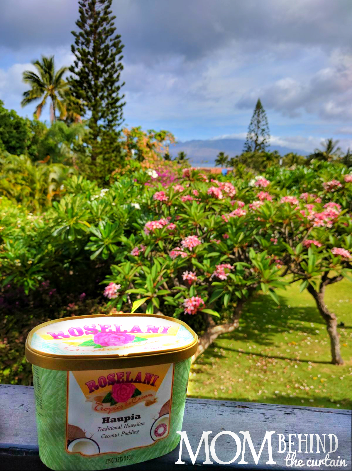 Coconut custard ice cream on the tropical island of Maui made in Hawaii - don't miss these Maui favorites on your trip - what to eat in Maui, local specialities